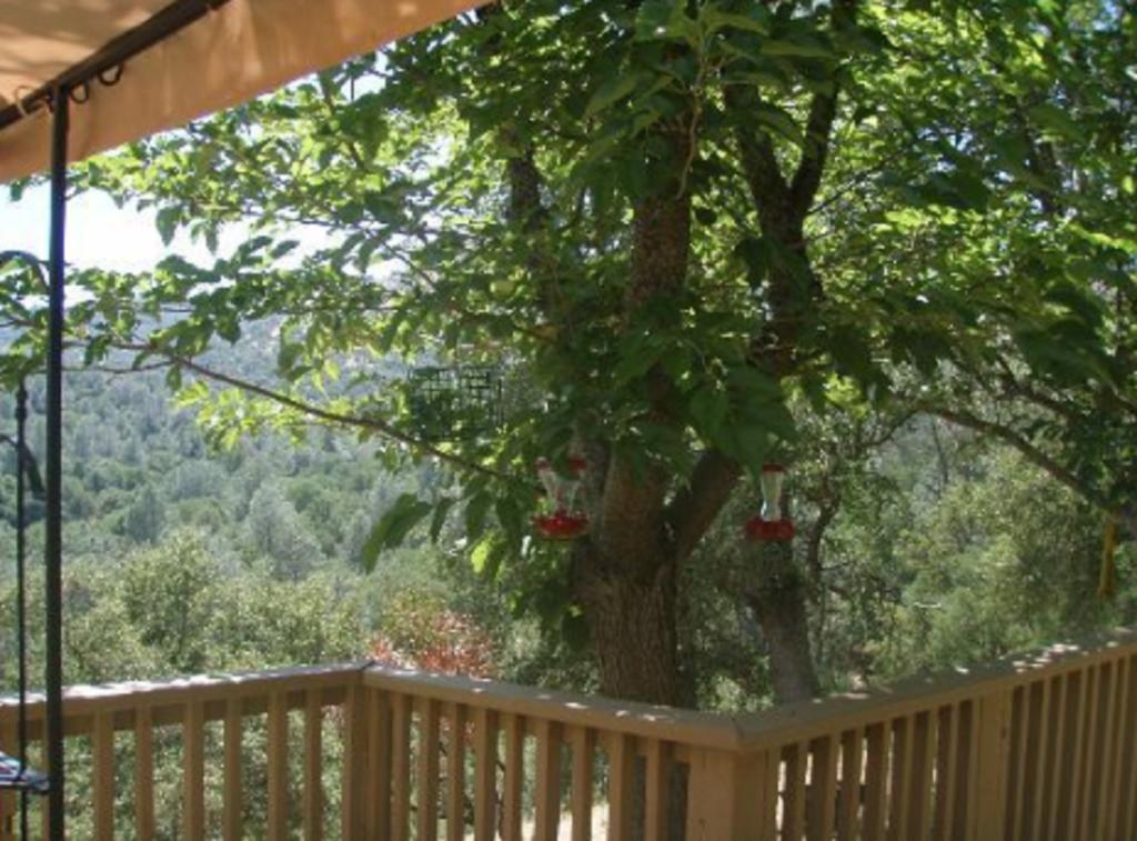 Yosemite Bed And Breakfast Mariposa Esterno foto